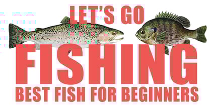 Best Fish For Beginners 