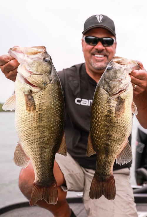 what are the best hooks for largemouth bass