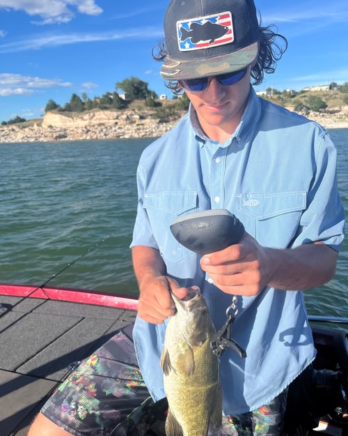 Ethan weighing a nice smallmouth he caught on a Swimbait