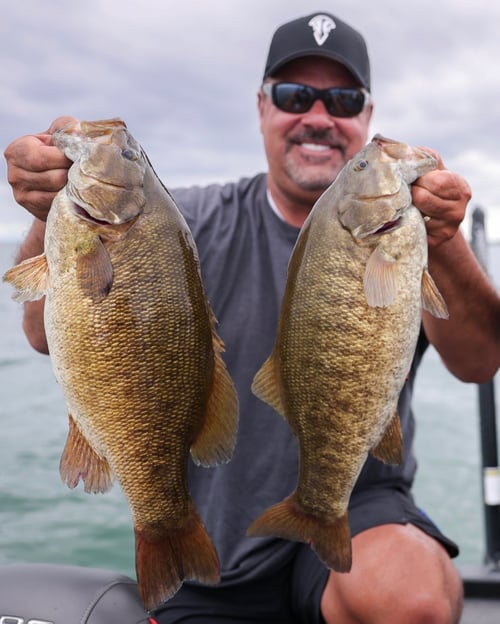 What are the best hooks for smallmouth bass